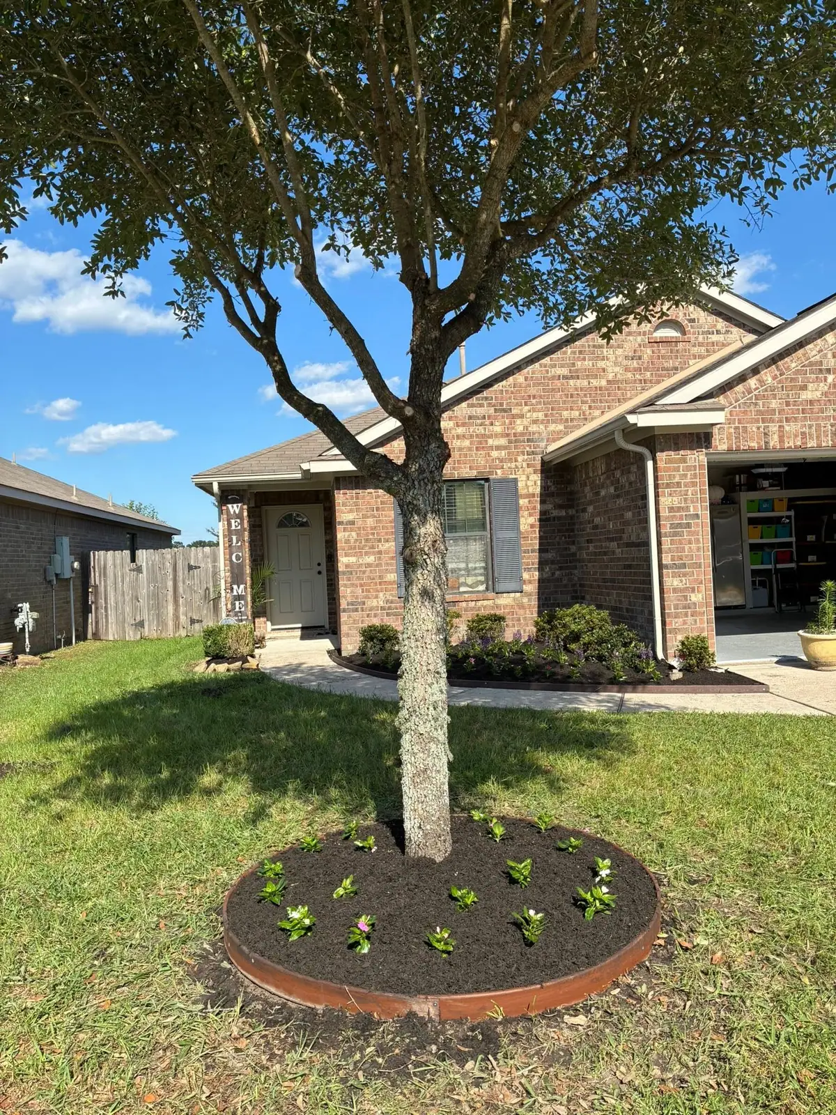 New mulched flower bed installed around a young front-yard tree