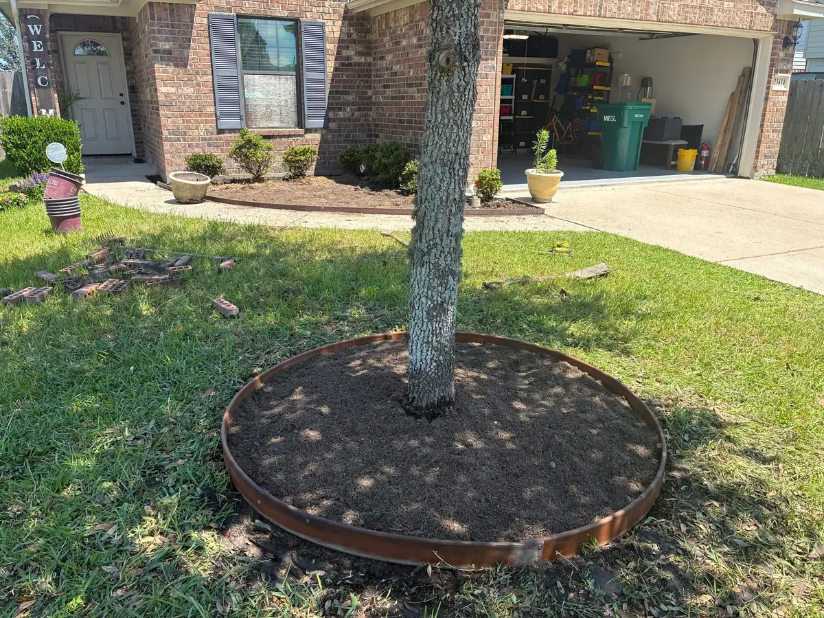 Freshly edged circular tree ring prepared with new soil