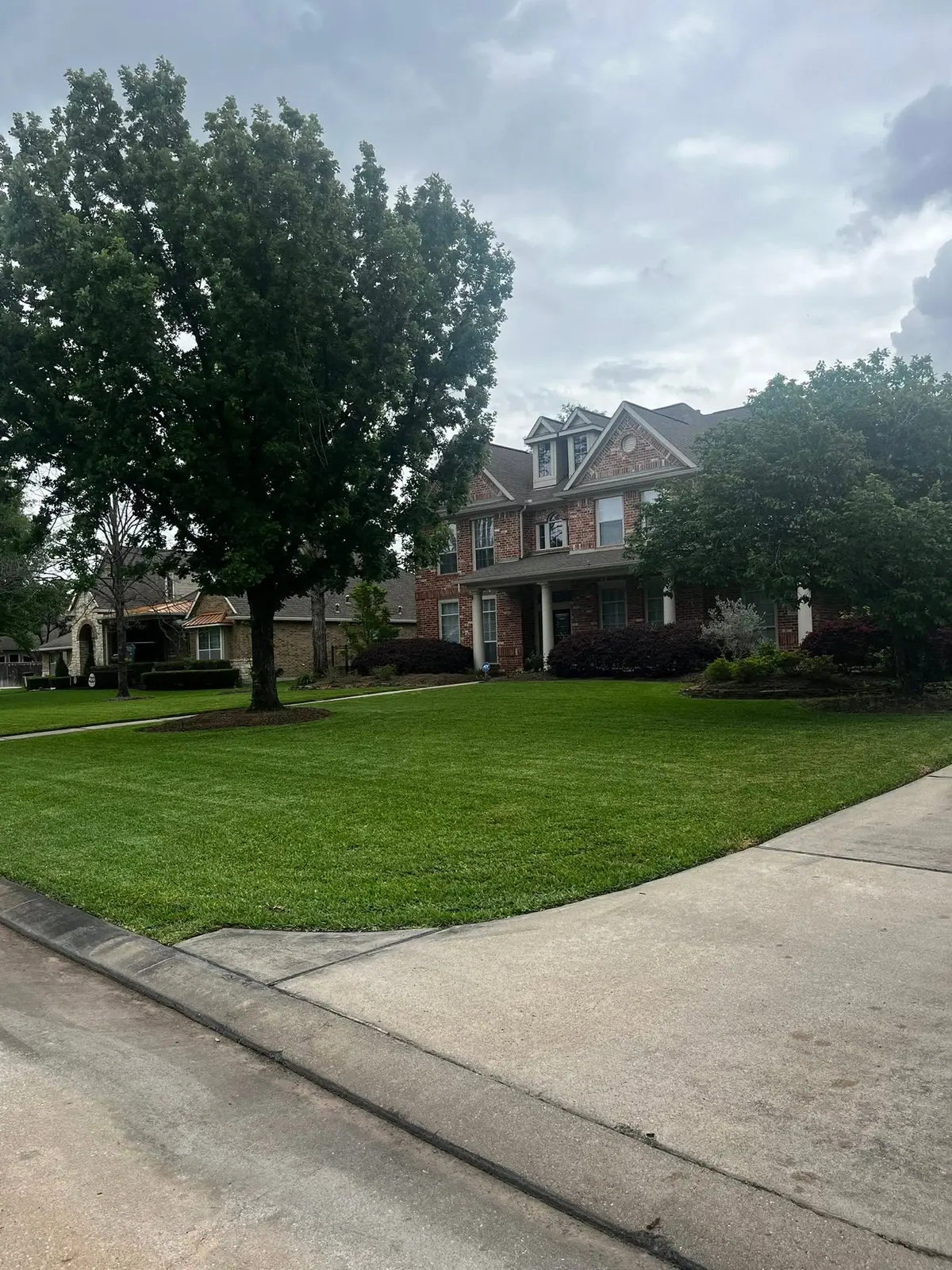 Thick, established lawn on a corner lot with mature landscaping